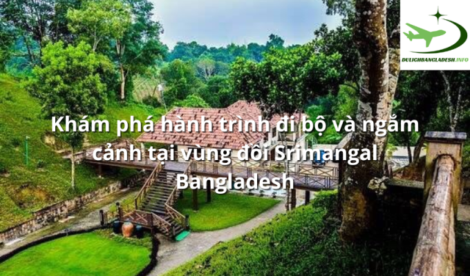 Khám phá hành trình đi bộ và ngắm cảnh tại vùng đồi Srimangal Bangladesh